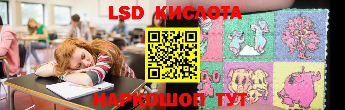 ЛСД экстази кислота  Вход с VPN  ЛСД экстази кислота  Аргун 