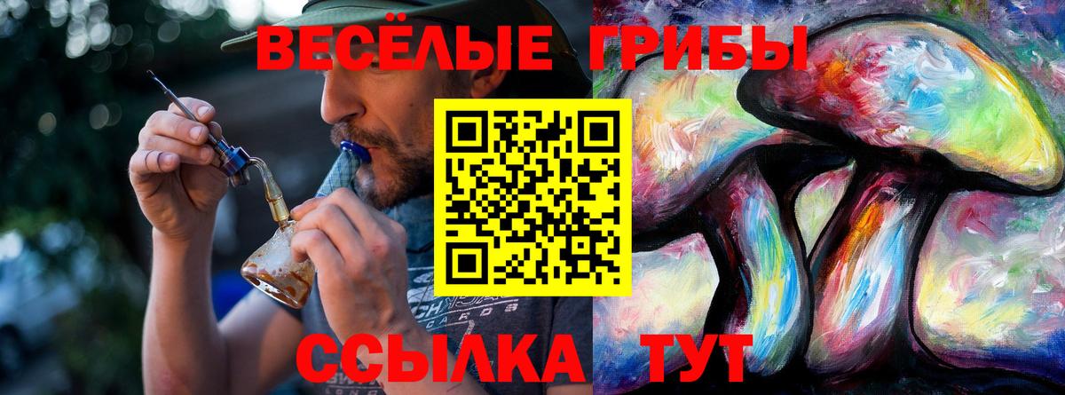 Аргун  Псилоцибиновые грибы мицелий  Вход с VPN 