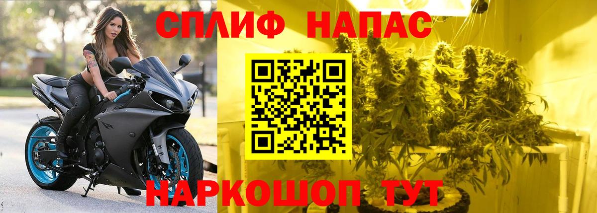Бошки марихуана VHQ  Бошки марихуана семена  Бошки марихуана тримм  Аргун  Вход с VPN 